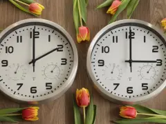 Two clocks on a wooden surface surrounded by tulips. One clock shows 1:45, the other shows 2:45.
