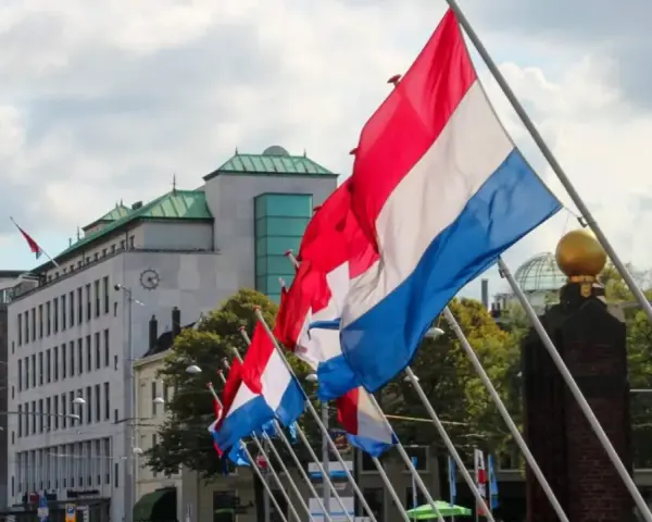 Holandia świętuje! Rząd flag narodowych powiewa na wietrze przed nowoczesnym budynkiem.